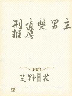 刑侦双男主小说推荐