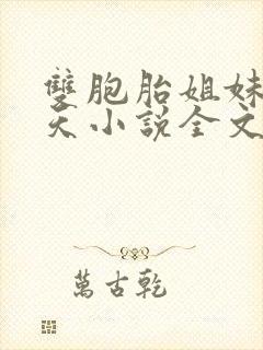 双胞胎姐妹乐翻天小说全文阅读