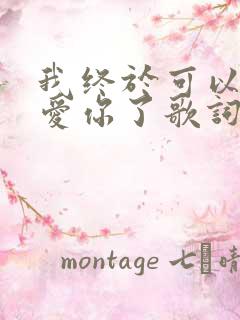 我终于可以不再爱你了歌词