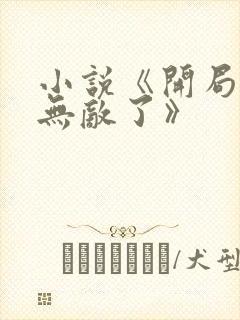 小说《开局我就无敌了》