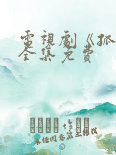 电视剧《孤战》全集免费