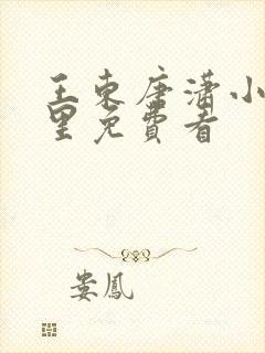 王东唐潇小说哪里免费看