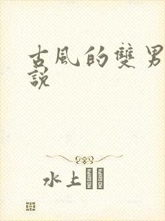 古风的双男主小说