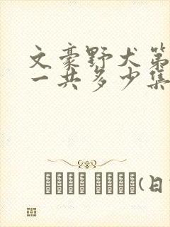 文豪野犬第一季一共多少集