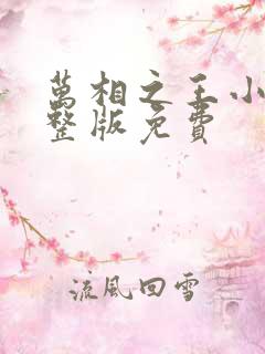 万相之王小说完整版免费