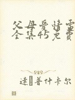 父母爱情电视剧全集45免费观看