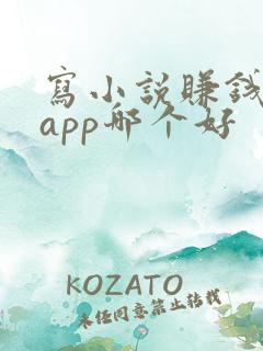 写小说赚钱软件app哪个好