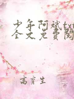 少年阿斌txt全文免费阅读小说