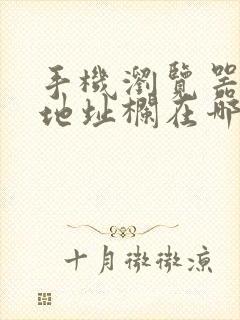 手机浏览器里的地址栏在哪里