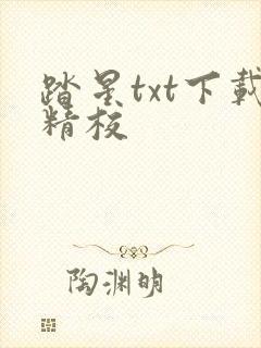 踏星txt下载精校