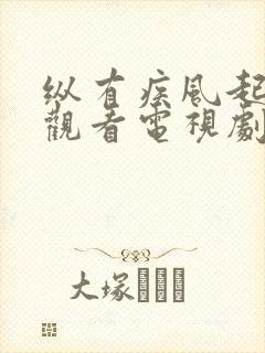 纵有疾风起免费观看电视剧