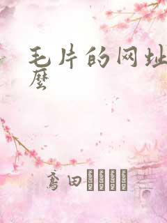 毛片的网址是什么