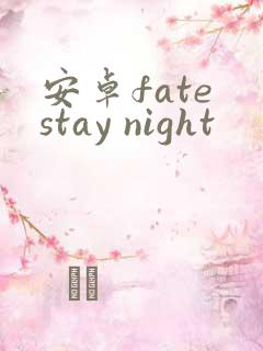 安卓fate stay night