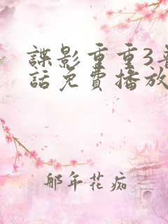 谍影重重3普通话免费播放