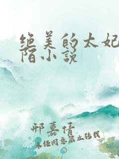 绝美的太妃林止陌小说