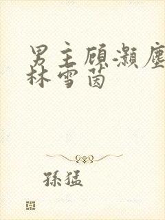 男主顾灏尘女主林雪茵