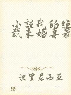 小说我的绝色总裁未婚妻最新章节