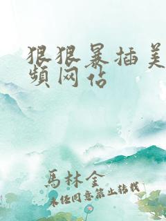 狠狠暴插美女视频网站