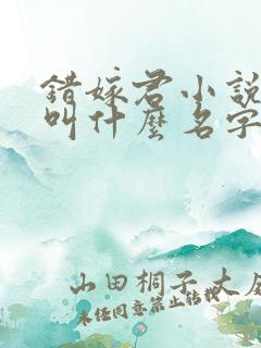 错嫁君小说原著叫什么名字