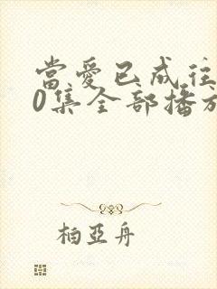 当爱已成往事30集全部播放免费观看