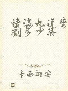 情满九道弯电视剧多少集