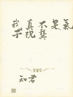 我真不是气运之子祝龚