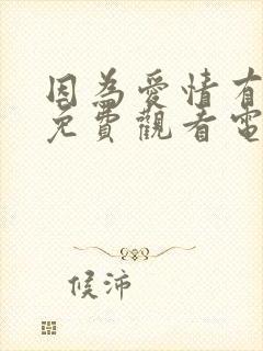 因为爱情有多美免费观看电视剧