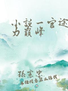 小说一官途:权力巅峰