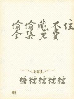 偷偷藏不住漫剧全集免费