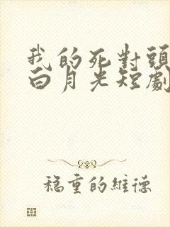 我的死对头才是白月光短剧