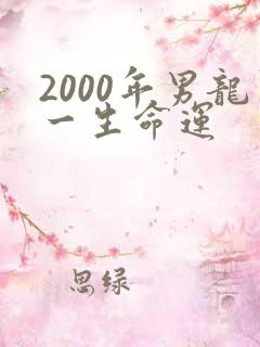 2000年男龙一生命运