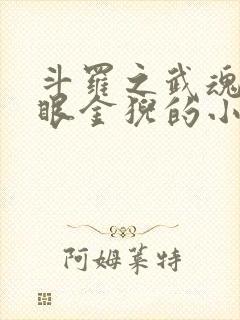 斗罗之武魂是九眼金猊的小说