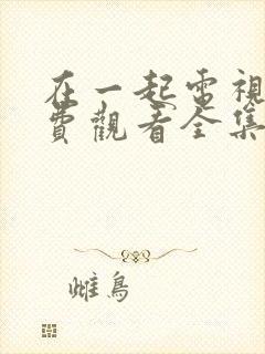 在一起电视剧免费观看全集完整版