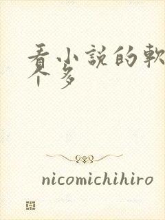 看小说的软件那个多