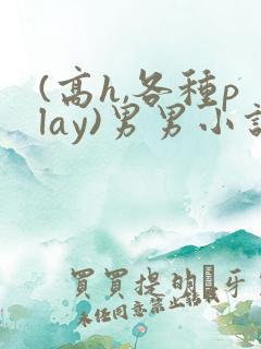 (高h,各种play)男男小说