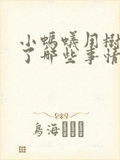 小蚂蚁用树叶做了哪些事情看图写话二年级