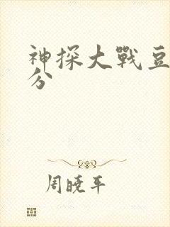 神探大战豆瓣评分