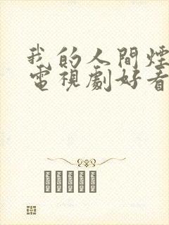 我的人间烟火 电视剧好看吗