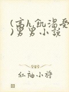 (高h,饥渴受)男男小说
