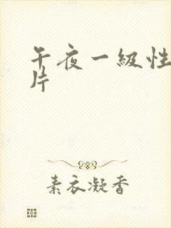 午夜一级性高潮片