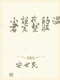 小说我的温柔暴君完整版