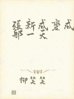 张新成变成你的那一天