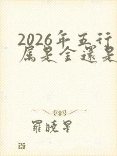 2026年五行属是金还是水