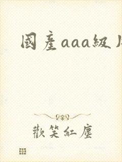 国产aaa级片