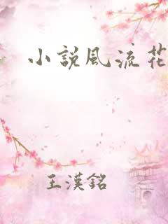小说风流花少