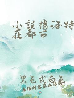 小说杨洛特种兵在都市