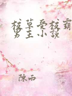 校草受校霸攻双男主小说