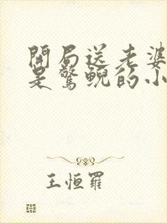 开局送老婆夫人是惊鲵的小说免费阅读