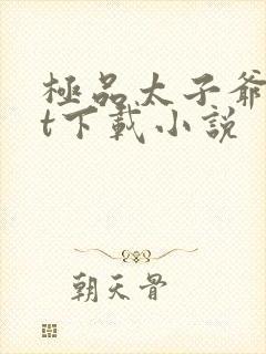 极品太子爷txt下载小说