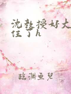 沈教授好大含不住了h